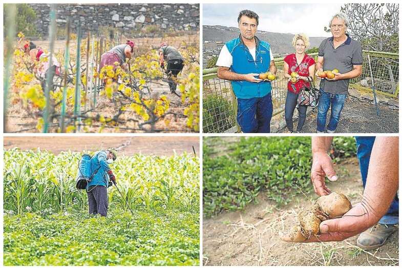Imágenes de la actividad en la finca de El Viso (Foto Borja Suárez/C7)